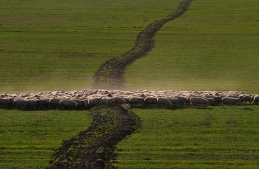 4. Uluslararası Kapadokya Fotoğraf Yarışması sonuçlandı