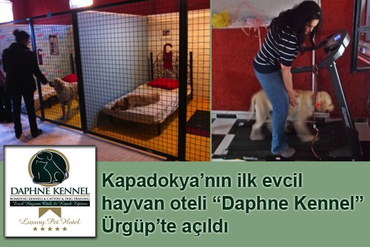 Kapadokyanın ilk evcil hayvan oteli Daphne Kennel Ürgüpte açıldı