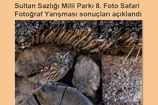 Sultan Sazlığı Milli Parkı 8. Foto Safari Fotoğraf Yarışması sonuçları açıklandı
