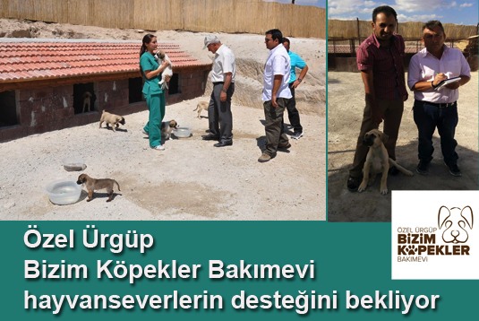 Özel Ürgüp Bizim Köpekler Bakımevi hayvanseverlerin desteğini bekliyor