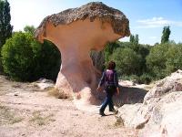 Mantar Kaya/Fungus Rock